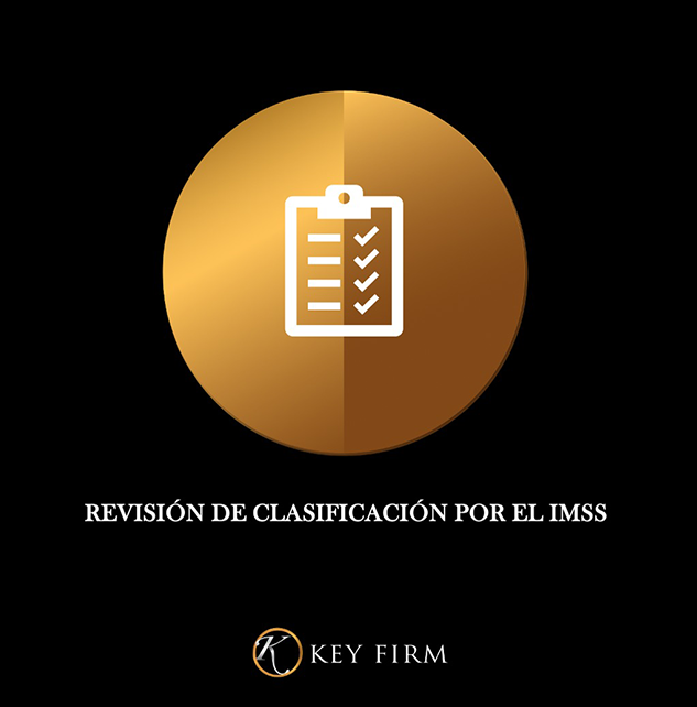 boletin noviembre 2024